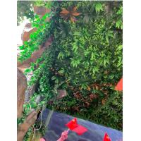 uploads/erp/collection/images/Home Garden/dgjiawang/XU0612847/img_b/XU0612847_img_b_3